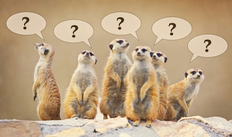 People with questions regarding their career paths and have questions to ask someone in the same career that they want.