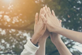 4 hands reaching up for a high five against a backdrop of trees.