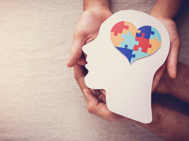 Two hands holding a wooden head with a jigsaw puzzle brain | Therapist Malpractice Insurance Guide 
