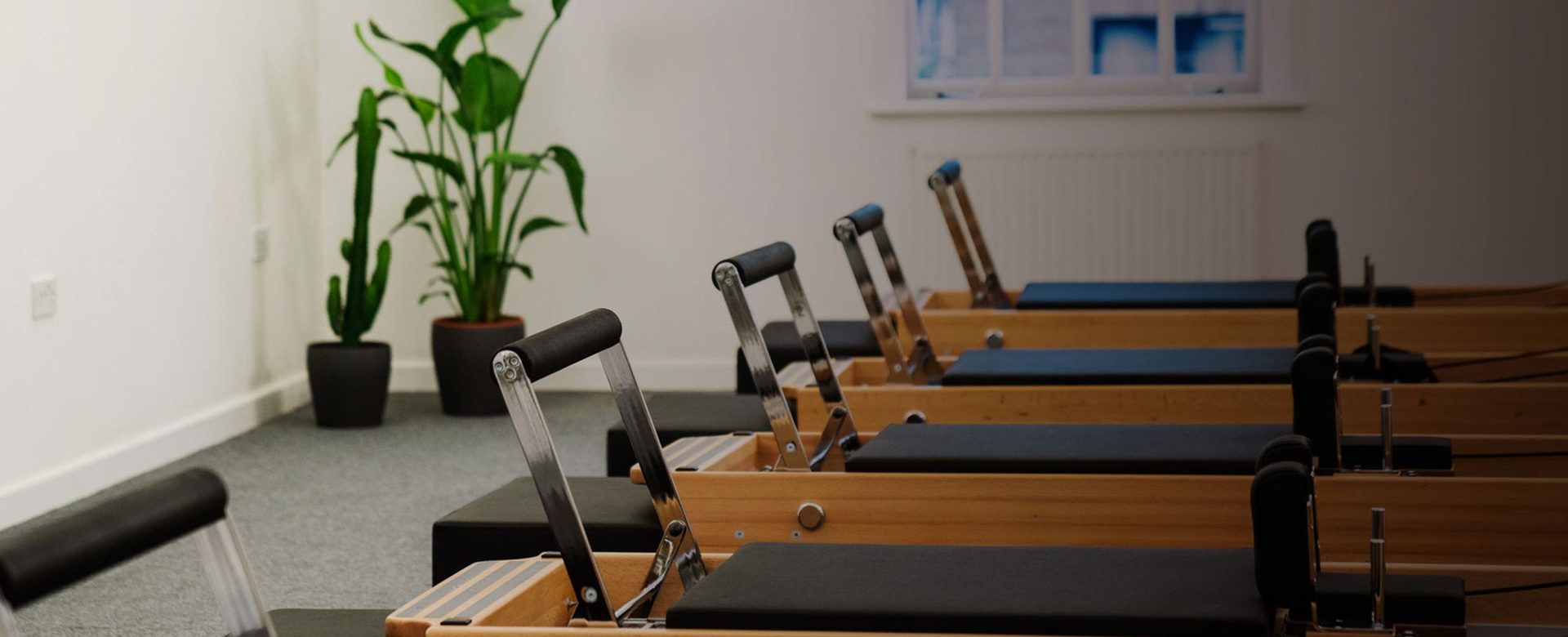 pilates machines in rows in a pilates studio | general liability insurance for pilates studios