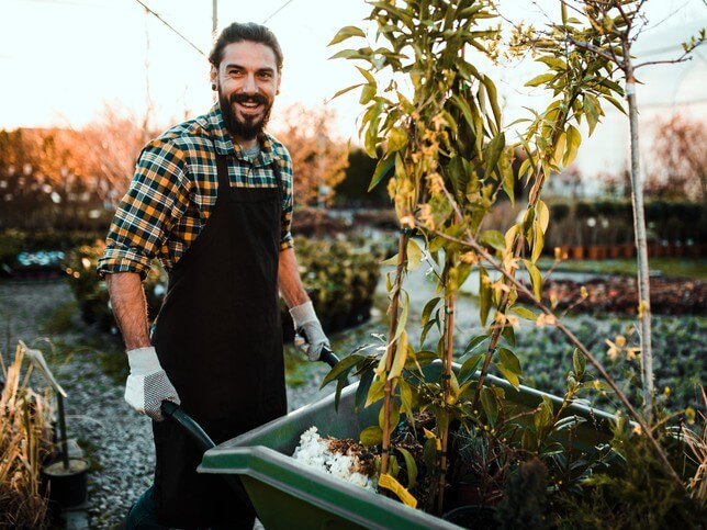 Small business owner pushing wheelbarrow